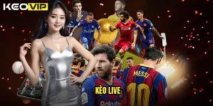 kèo live