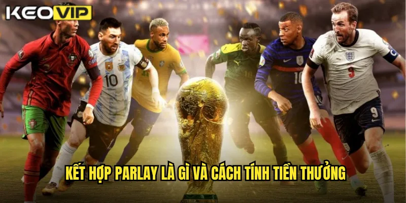 Kết hợp parlay là gì và cách tính tiền thưởng