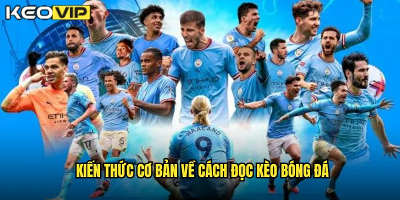 Kiến thức cơ bản về cách đọc kèo bóng đá