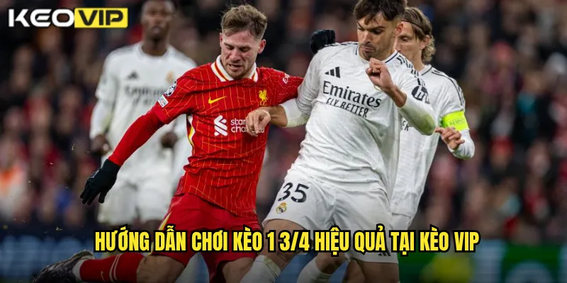 Hướng dẫn chơi kèo 1 3/4 hiệu quả tại kèo vip